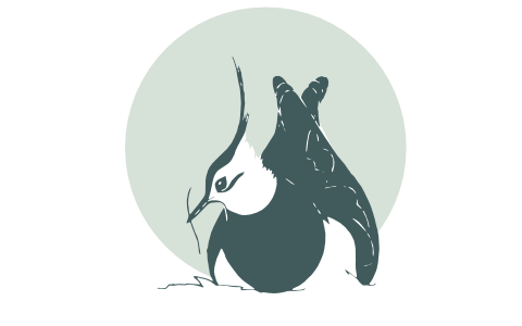 vogelwacht Oudega (Sm)